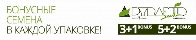 banner-pyramid4__9KvHjlABKiDwyuqP.jpg
