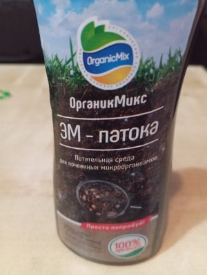 1000017734.jpg