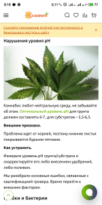 S50821-08185198.png