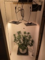 IMG_0191.jpeg