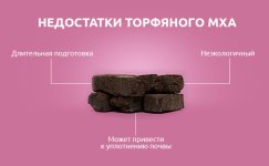 Nedostatki-torfyanogo-mha__IG5NHoUgWRapB5Mr.jpg