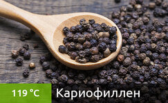 kariofillen__v0l1gbX6Ut9fibxL.jpg
