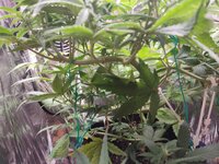 IMG_20251014_182847.jpg