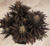 1760623344136.png