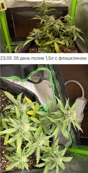 1DD1C3F7-9A21-4EF1-B90D-5F6DA658C9FB.jpeg