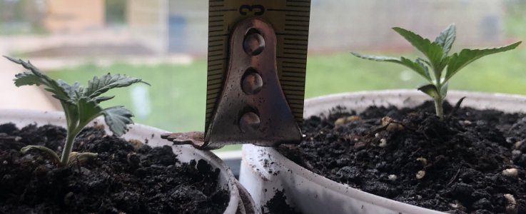 F830E166-0E25-4DF8-817A-79A01D7E1C8C.jpeg