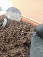 WhatsApp Image 2026-02-15 at 19.10.30.jpeg