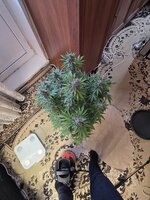 20260215_123934.jpg
