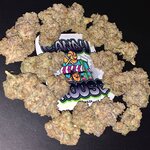 IMG_0172.jpeg