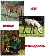 IMG_1127.jpeg