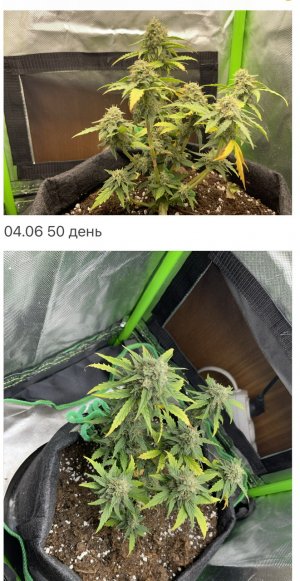 2108BCED-F31A-4D47-9A8E-2C81A01DA039.jpeg