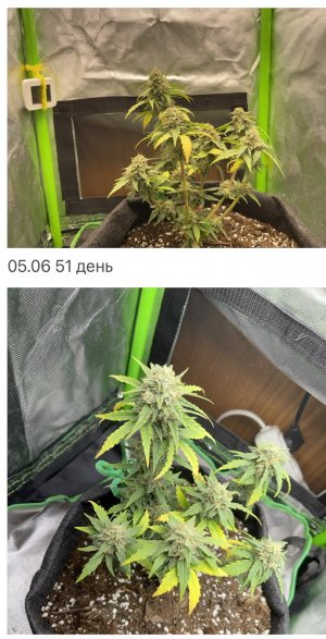 C0DC7930-103F-4E33-B71F-4DAEFE80CEE2.jpeg