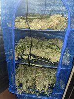 1 — копия.JPG