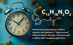 Chto-takoe-melatonin-i-kak-on-rabotaet__JySq7S6TgqE5XbWX.jpg