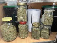 1 — копия.JPG