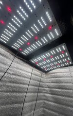 5 — копия.JPG