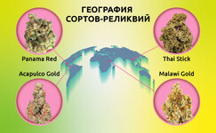 Sorta-relikvii__iUdLDIoPRsDWWGoL.jpg