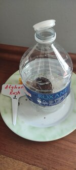 IMG_20260528_142010.jpg