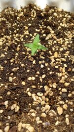 1787043888273.jpg