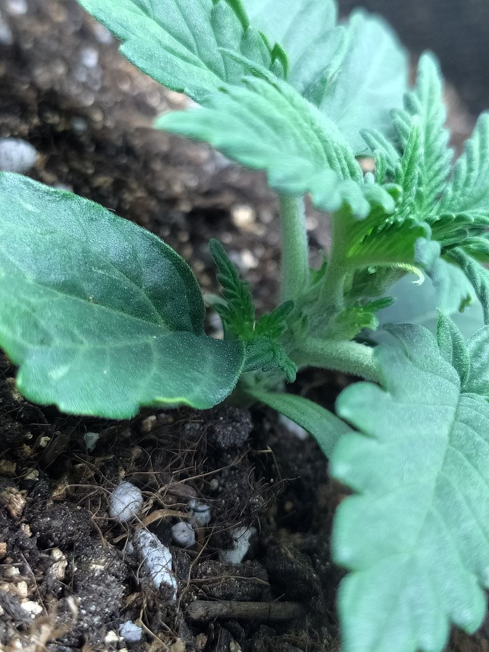 photo — копия.jpg