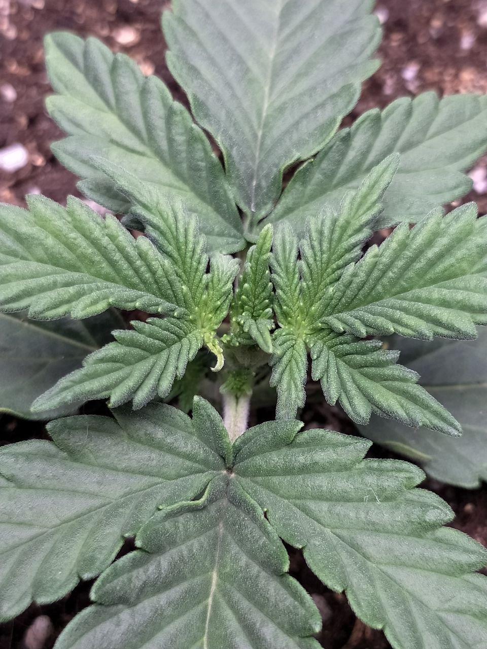 photo2 — копия.jpg