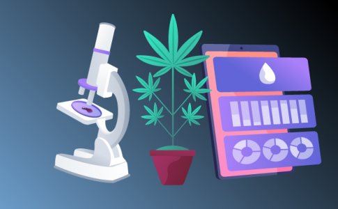 PH, ЕС и TDS грунта и раствора при выращивании конопли