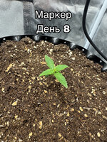 AA5784E5-8D68-495F-82E0-9131A211EB77.jpeg