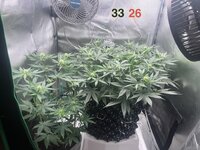IMG_0359.jpeg