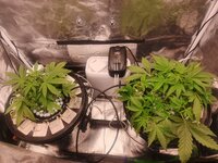 IMG_20261007_132716_113.jpg