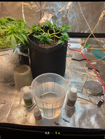 IMG_7334.jpeg