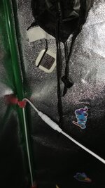 1000135376.jpg