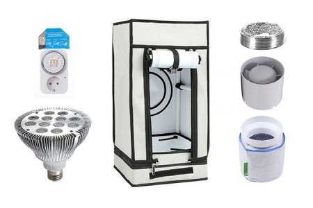 Каким должен быть гроубокс для конопли