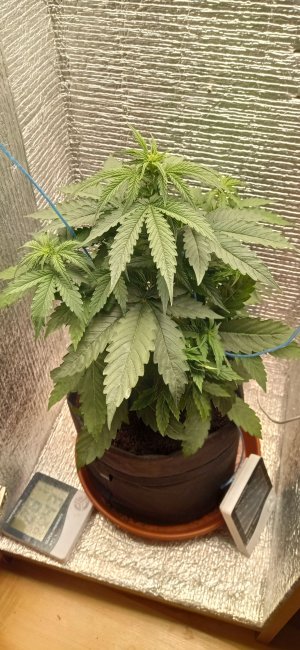 1 — копия.jpg