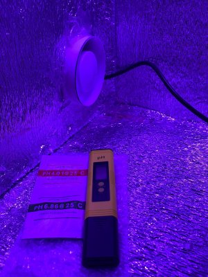 7C21E3E8-D34C-47E0-AF25-8145526DD338.jpeg