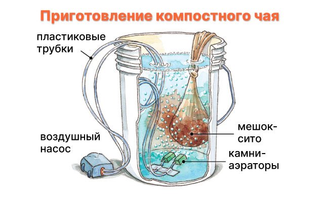 5 шагов по приготовлению компостного чая для конопли