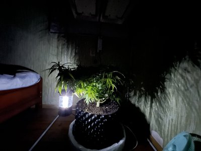 06290167-8960-4C94-A227-032852871DAF.jpeg