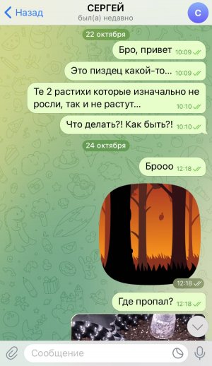 552DB136-5DE5-4246-A0AF-B8BA22E1C4BC.jpeg