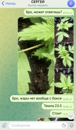 AAA01EEA-E28B-4557-AFBB-0BA9188211C3.jpeg