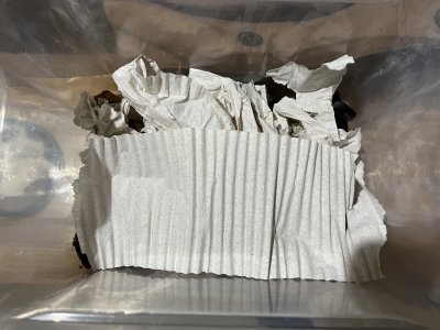 E764757C-AFD2-4EA1-A0EA-68B445CCB1D2.jpeg