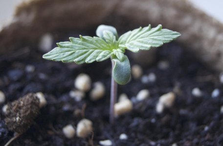 DSC04322.jpeg
