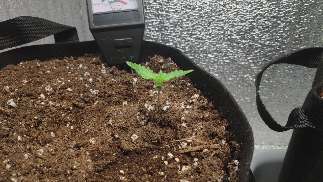 6 photo_2023-02-17_15-41-09.jpg