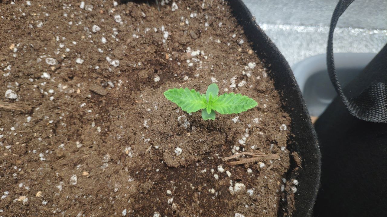 6 photo_2023-02-17_15-41-16.jpg