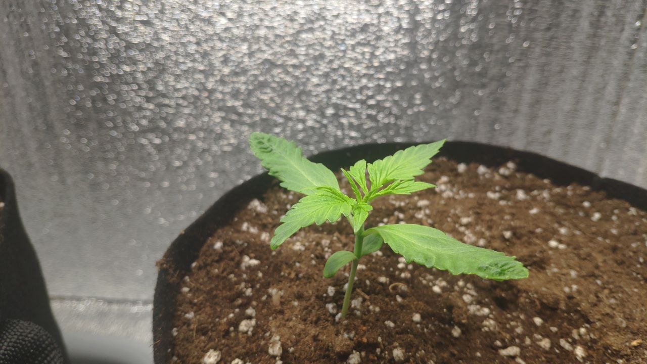 11 photo_2023-02-17_16-07-09.jpg