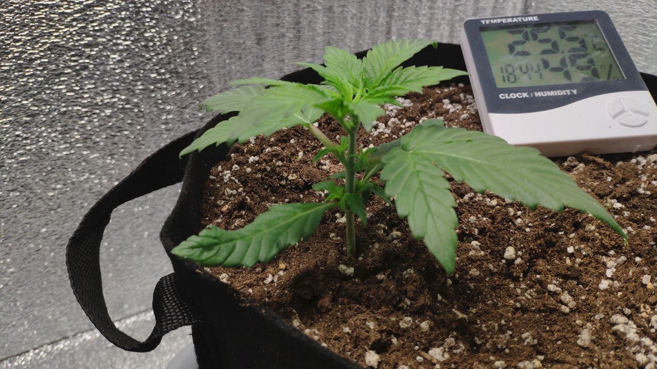 15 photo_2023-02-17_16-30-18.jpg