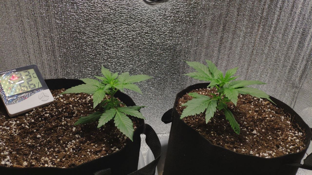 17 photo_2023-02-17_16-31-07.jpg