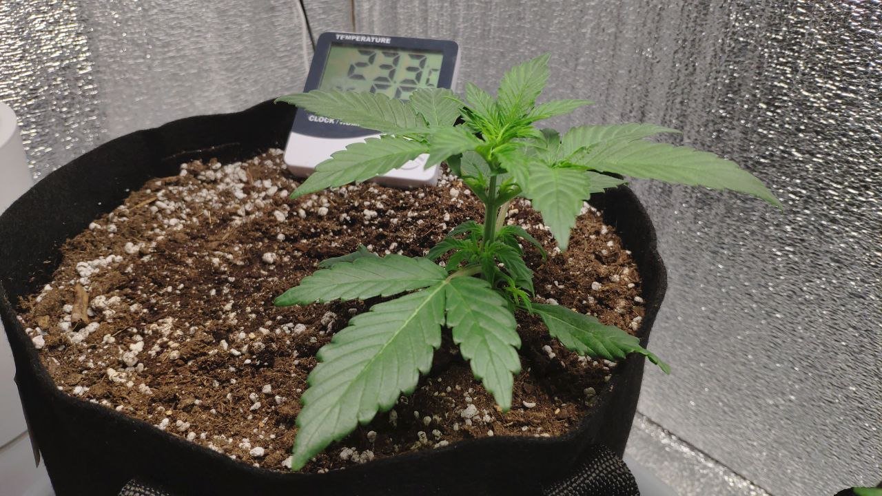 17 photo_2023-02-17_16-31-24.jpg