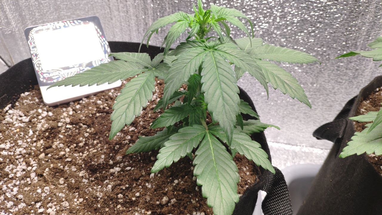 20 photo_2023-02-17_16-33-47.jpg