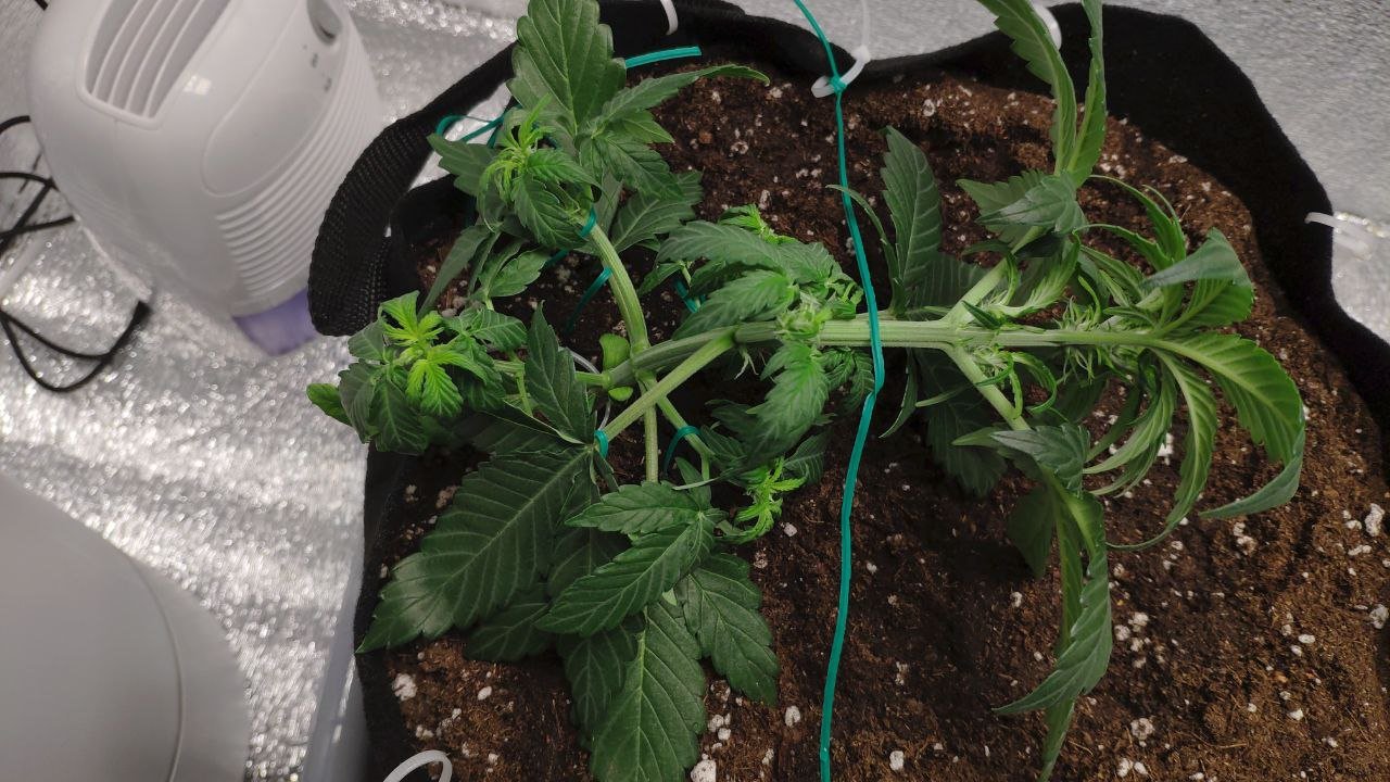 22 photo_2023-02-17_16-57-12.jpg