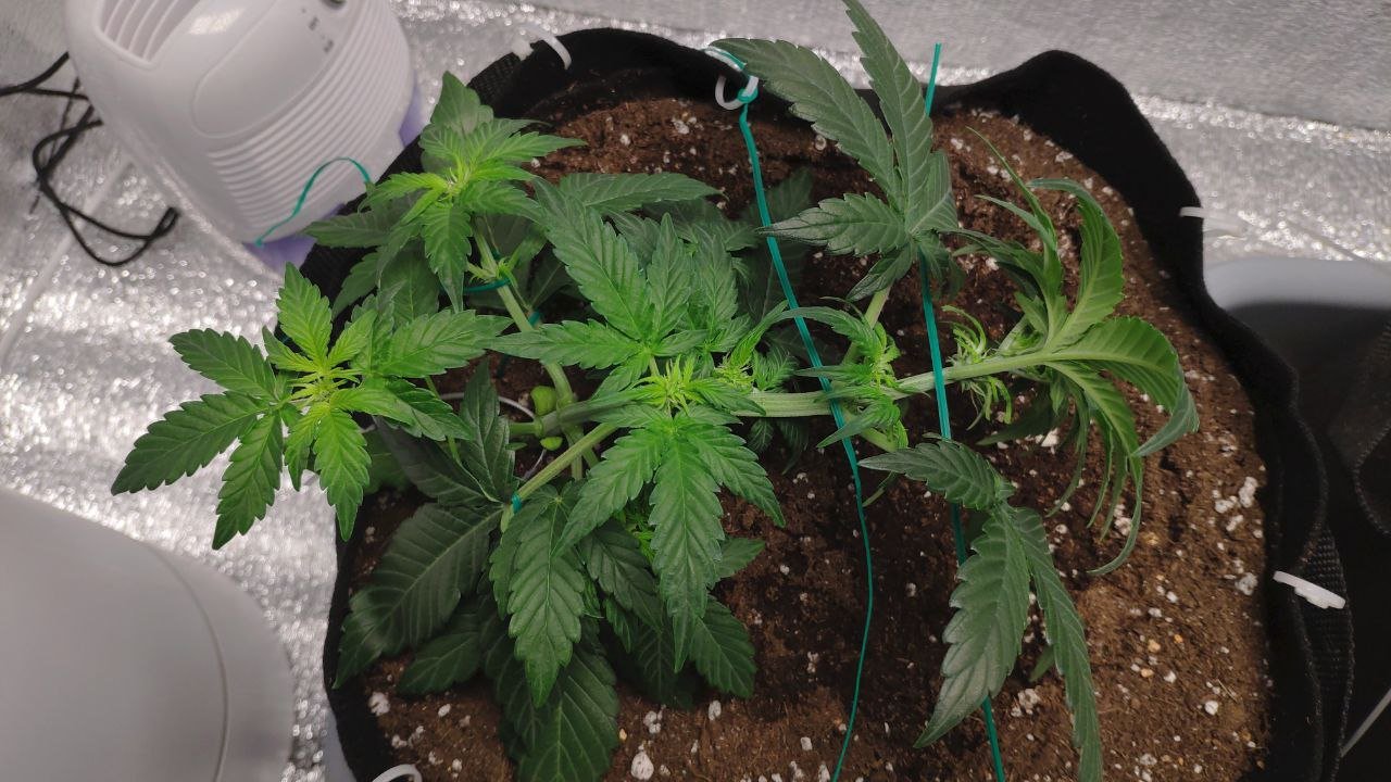 23 photo_2023-02-17_16-55-06.jpg