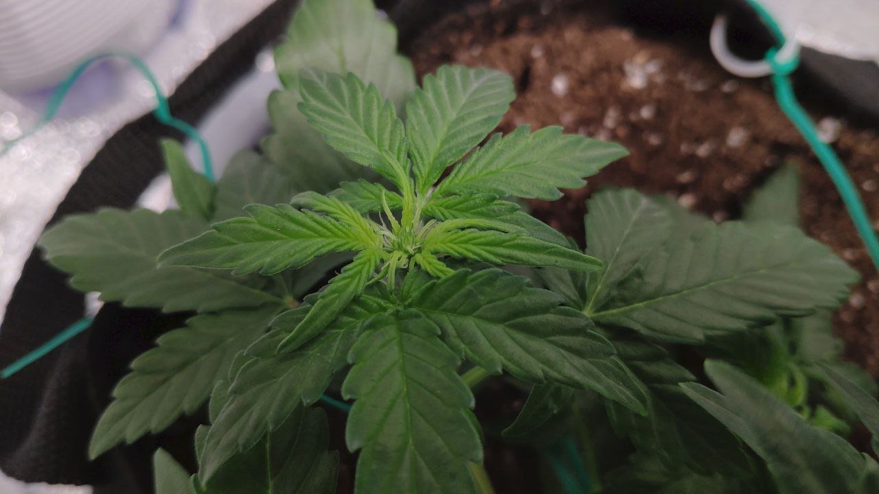 23 photo_2023-02-17_16-57-30.jpg